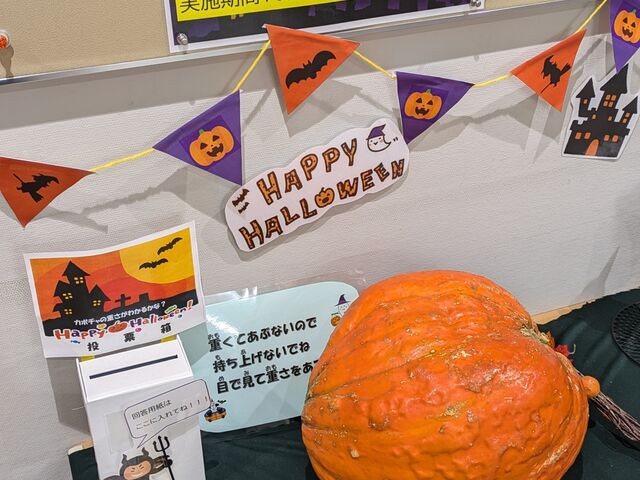 nEB̂ڂ̏d𓖂ĂNCY܂B_cN𗬃Z^[䂢