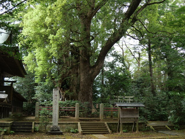 神崎神社】アクセス・営業時間・料金情報 - じゃらんnet