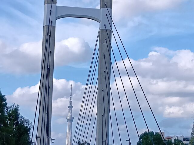 �X�J�C�c���[�������܂�_�؏����