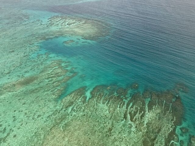 �Y��ȋ{�Ãu���[_�u���[�I�[�V�����N���u