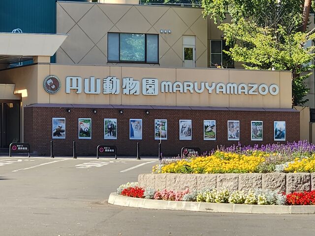 �����t��_�~�R������