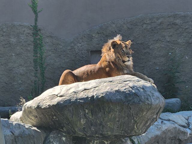 ���C�I��_�~�R������