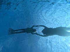 �Ȃق�����̃I�[�X���[�V���m�[�P���{�Ó��ւ̓��e�ʐ^1