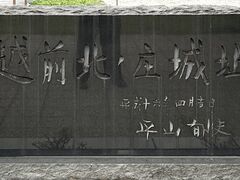 Shota����̖k�̏��隬�E�ēc�����ւ̓��e�ʐ^1