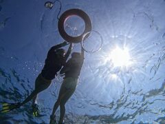 ̂̃}Nu Gigiւ̓eʐ^1