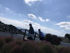 ݂񂳂̃}U[qւ̓eʐ^1