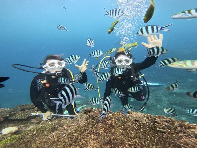 �x�X�g�V���b�g�ł��I_�_�C�r���O�V���b�vTI.OCEAN