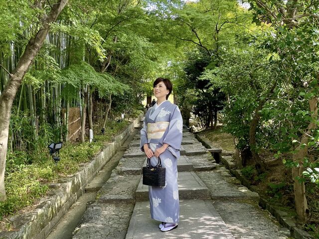 �T�O��ł��\�ȐF������܂���_���Y�����^�������@�a����