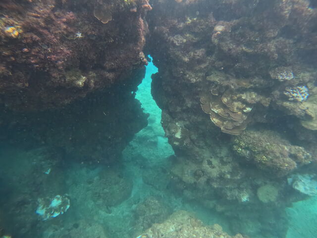 ���o���񂪐����ĎB���Ă��ꂽ�ʐ^_�_�C�r���O�V���b�vTI.OCEAN