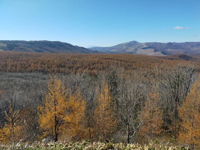 ڂ̗[z̋ui쌧Ȓj̓eʐ^5