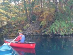 Reb`̐AEghAZ^[(X)ւ̓eʐ^1