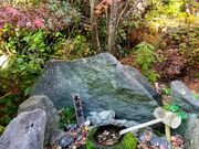 ڂ̒~̃Z_om{_CW̓eʐ^4