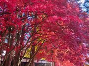 ڂ̒~̃Z_om{_CW̓eʐ^5