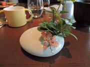 ̃qgL I[fC_CjO UCN ̓eʐ^8