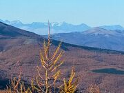 ڂ̗[z̋ui쌧Ȓj̓eʐ^4