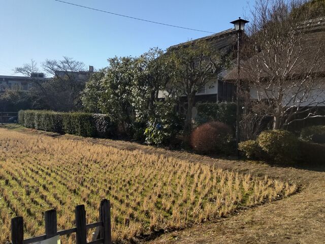 �~�n���ɂ���c��ځB���ۂɕĂÂ�������Ă��邻���ł��B_�݂��̌����u���a���~�v