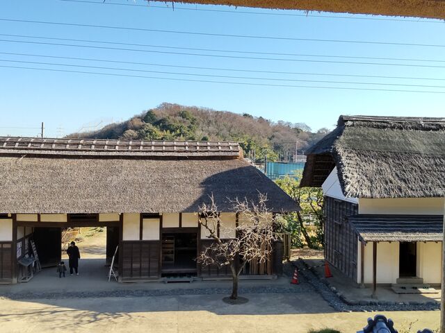 �Q�K����������ʂ������i�F�B�Z��X�ɂ��邱�Ƃ�Y��Ă��܂��i�F�ł��B_�݂��̌����u���a���~�v