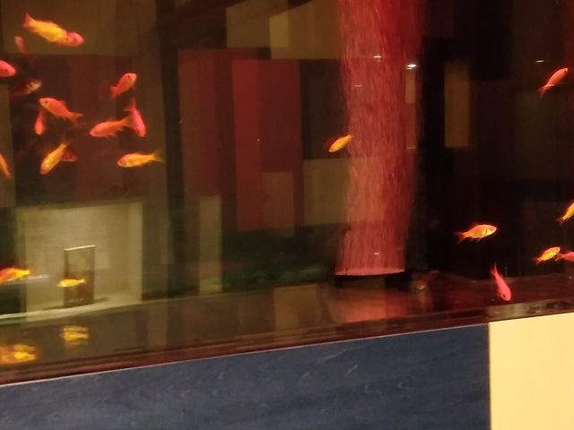 ���ւ̐���_���ӂ�cafe bijinyu