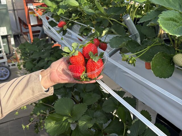 �Â��Ĕ��������ׂɂ���_�X�g���x���[�G���W�F��