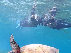 issayannnico {Óւ̓eʐ^1