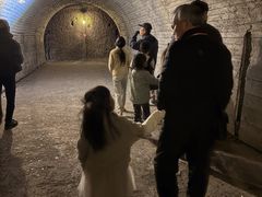 R̒̊CR̒@ɂ@Ђ݂n~[WA̎ʐ^1