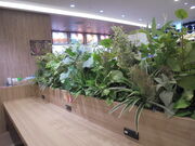 񂳂̃hg[R[q[VbvTJG`JX̓eʐ^2