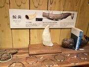 EbL[̊Cz aʂX̓eʐ^1