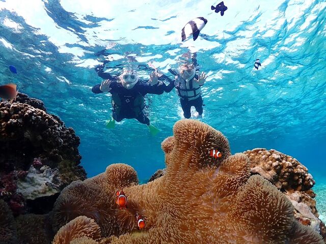 �j�������I_�{��blue�܂ق��