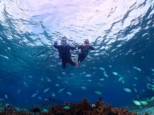 �C����Ȃ���������Q�I�i�΁j_�{��blue�܂ق��