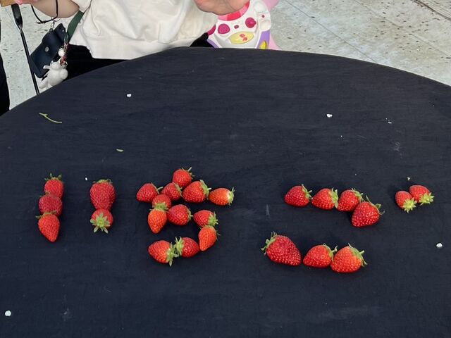 ���̌�����������������܂���_�t�@�[������� �É͓X