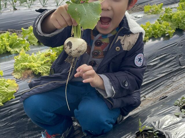 �J�u�̑傫���͔����Ă���̂��y���݂ł���_�����쎩�R�̌��t�@�[��