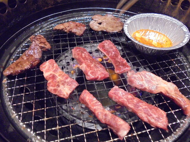 Η͂𒲐ďĂ܂_Jr叫 CI[McX