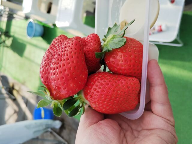 �����Ԃ�̂�����_���ڂ�������