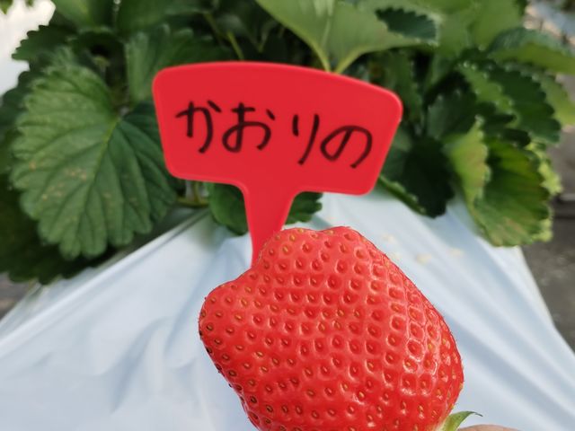 �������_���ڂ�������