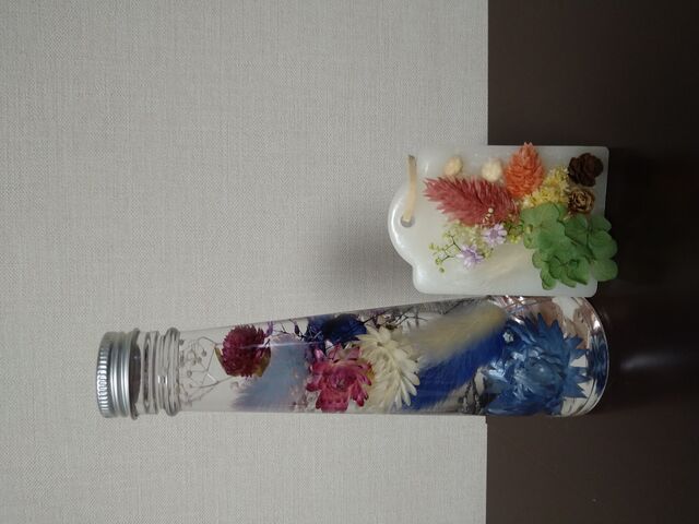 �������ɂȂ����Ⴂ�܂������A����Ȋ����ł�_�|�[�Z���[�c�T����moana