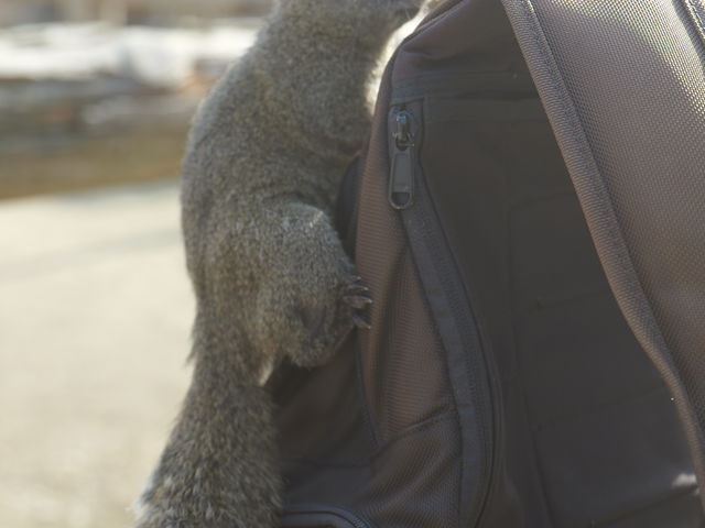 bNɓoăGTTB_sӂꂠ̗@X