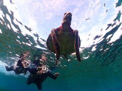 H׃O傤߂̋{blue܂ق΂ւ̓eʐ^1