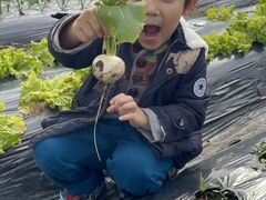 Ђ낳̔쎩Řt@[ւ̓eʐ^3