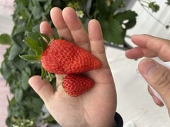 䂫UC̃AOX^[XyVւ̓eʐ^1