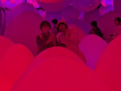 񂳂̃`[{tHXg -SBI،ւ̓eʐ^1