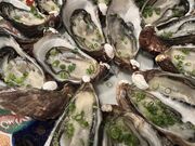 �g�~�[����̂����Ȃ݂̓��e�ʐ^1