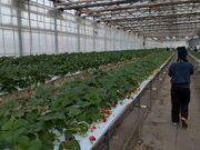 chaman����̈�o�_���̓��e�ʐ^5