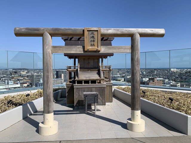 u݊فv́uʐ_Ёv_A~vU݂₴