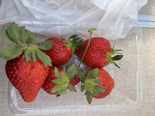 �ƂĂ����ꂢ�ł��������������ł����I_�c���_��