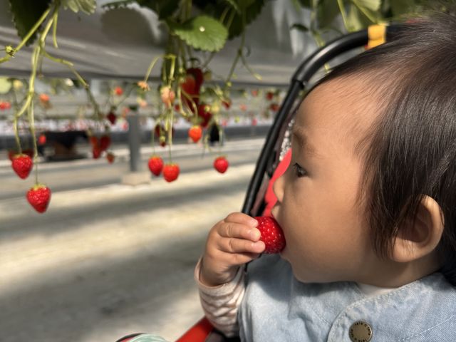 �Â��Ĕ��������I_�t�@�[������� �É͓X