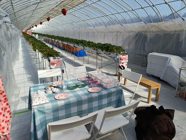 ���������Ƌx�e��_�T���x���[�_��