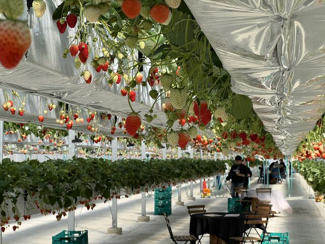 �I�̉��ɋx�e�X�y�[�X_�t�@�[������� �É͓X