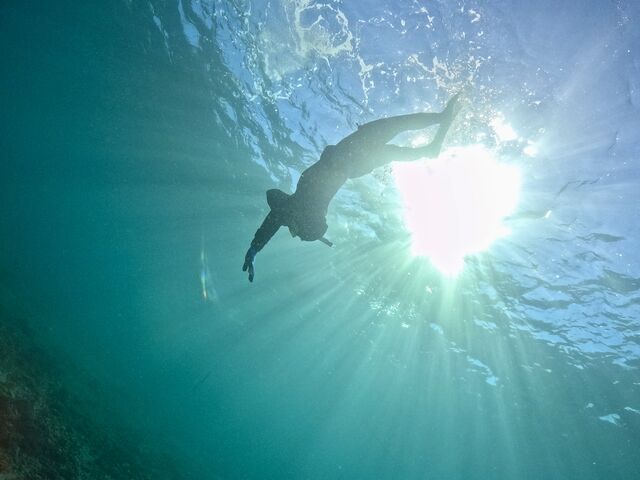 �R�[�X�Ís���ɎB�e���Ă����������ʐ^�I���肪�Ƃ��������܂���_�t�R�_�C�r���O�T�[�r�X