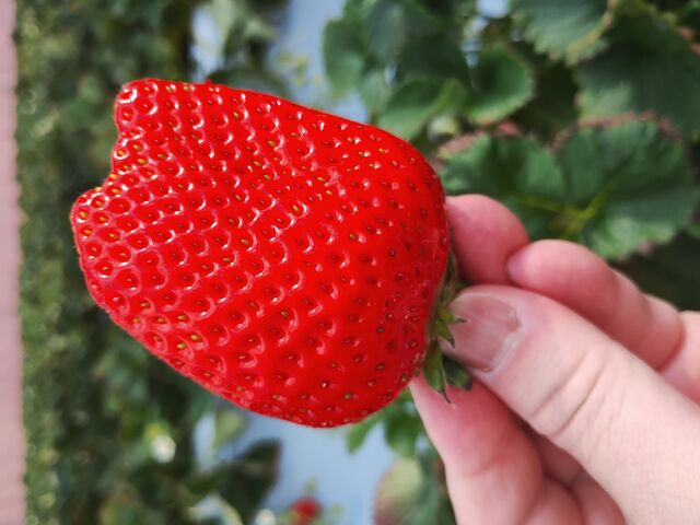 �ł������Â݂͂����������ł��B_�p���[�Y��������