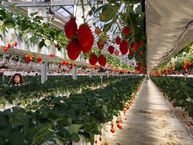 ���ꂢ�Ȏ{�݂ł���
_�t�@�[������� �É͓X